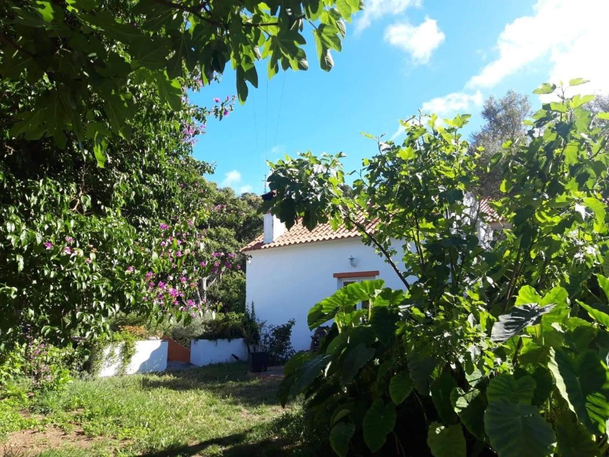 Quinta Algarve Das Relvinhas Monchique Exterior photo